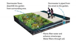 rain garden _ green infrastructure