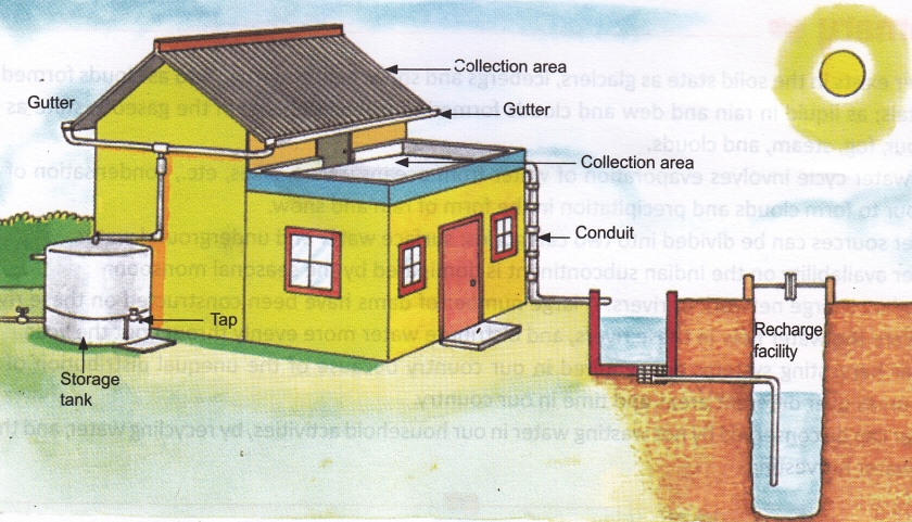 CAD DWG drawing file of the rainwater harvesting sump elevation and section  details. Download the AutoCAD 2D DWG file. - Cadbull